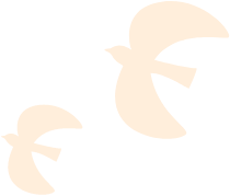 二羽のオレンジの鳥のイラスト